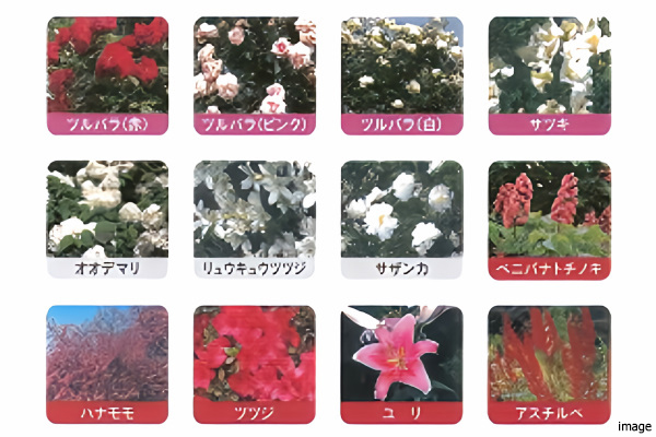  植栽計画イメージ｜ザ・コスギタワー